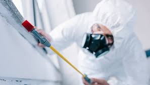 Best Pest Control for Warehouses  in USA